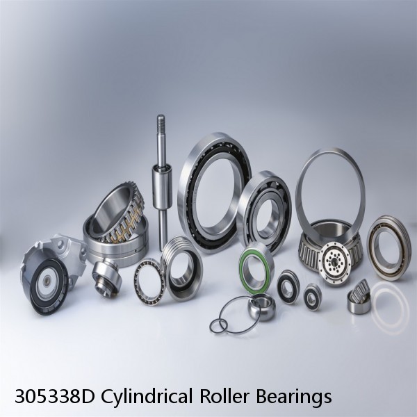 305338D Cylindrical Roller Bearings