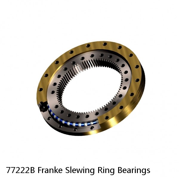 77222B Franke Slewing Ring Bearings