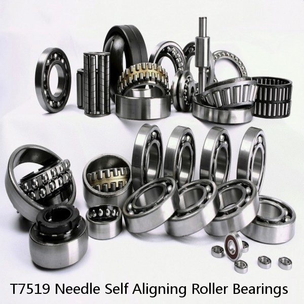 T7519 Needle Self Aligning Roller Bearings