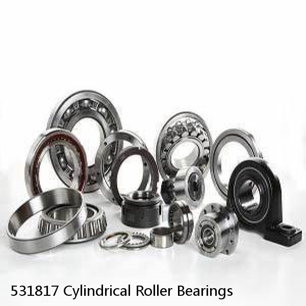 531817 Cylindrical Roller Bearings