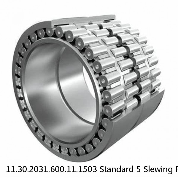 11.30.2031.600.11.1503 Standard 5 Slewing Ring Bearings