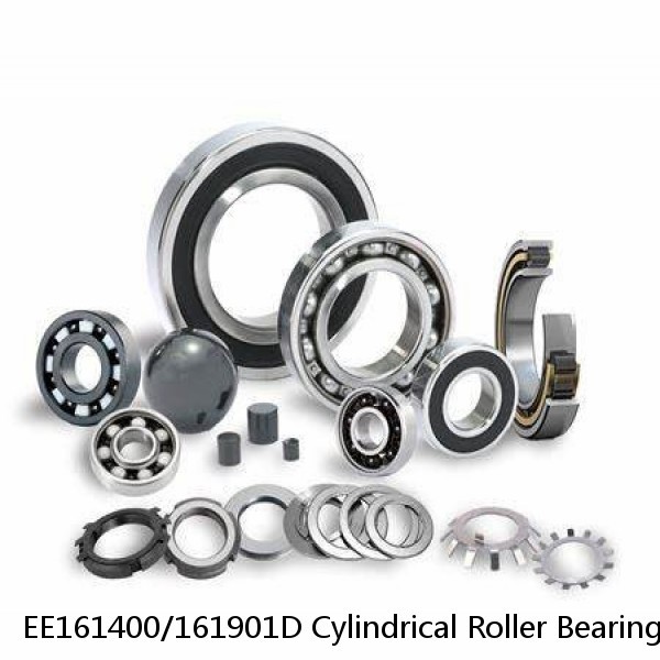 EE161400/161901D Cylindrical Roller Bearings