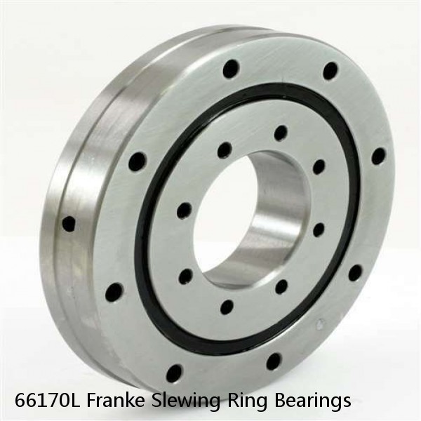 66170L Franke Slewing Ring Bearings #1 small image