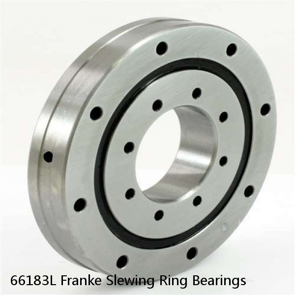 66183L Franke Slewing Ring Bearings #1 small image