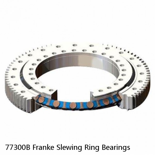 77300B Franke Slewing Ring Bearings #1 small image