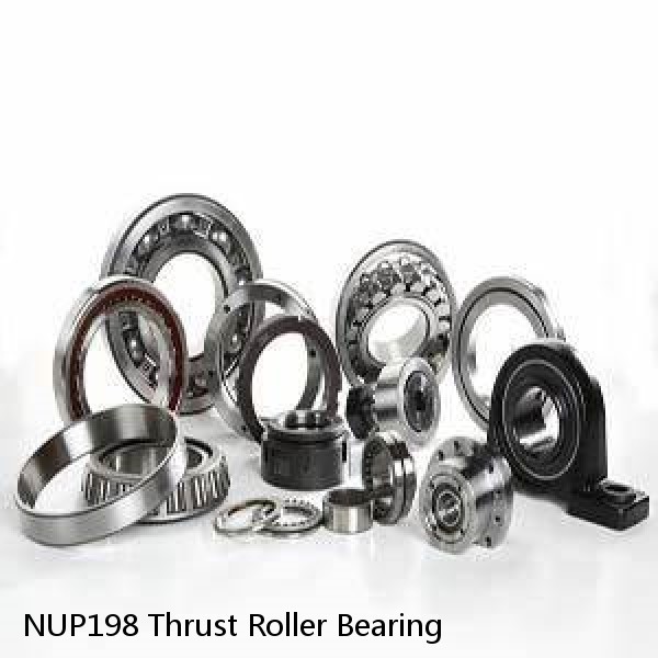 NUP198 Thrust Roller Bearing #1 image