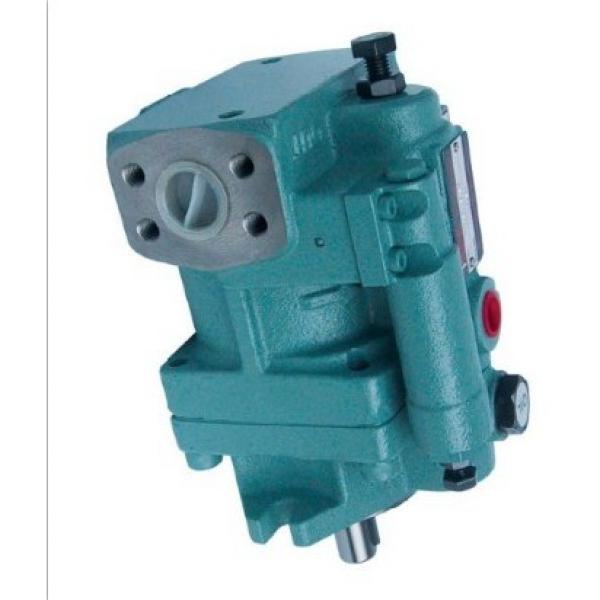 Denison PV15-2R5D-L00 Variable Displacement Piston Pump #1 image