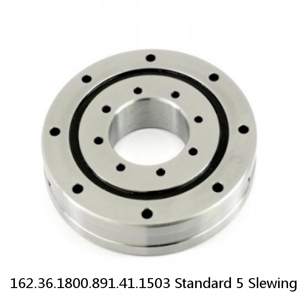 162.36.1800.891.41.1503 Standard 5 Slewing Ring Bearings #1 image