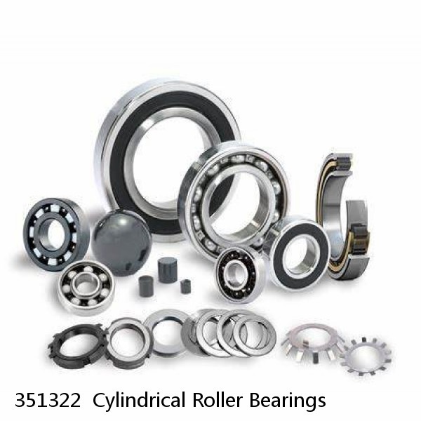 351322  Cylindrical Roller Bearings #1 image