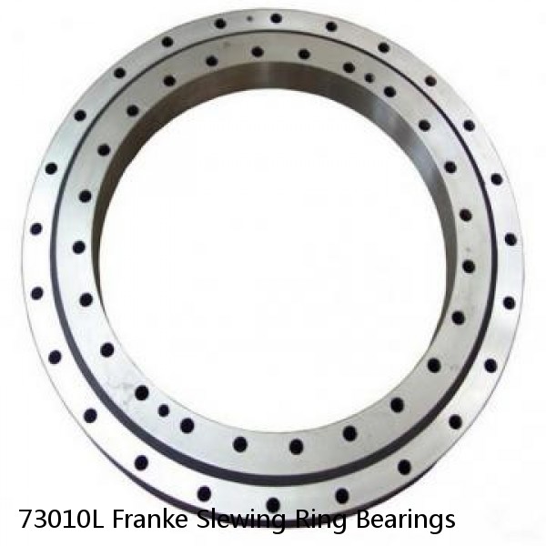 73010L Franke Slewing Ring Bearings #1 image