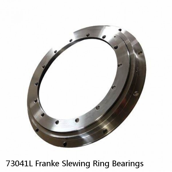 73041L Franke Slewing Ring Bearings #1 image