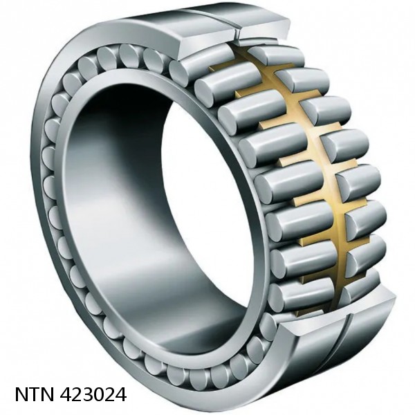 423024 NTN Cylindrical Roller Bearing #1 image