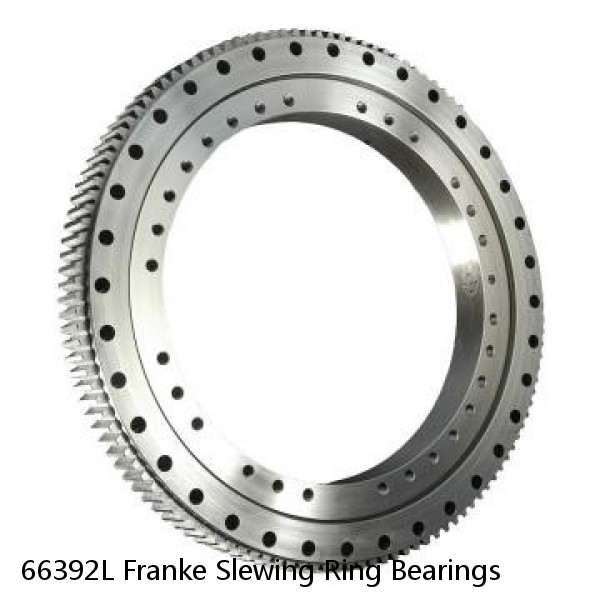 66392L Franke Slewing Ring Bearings #1 image