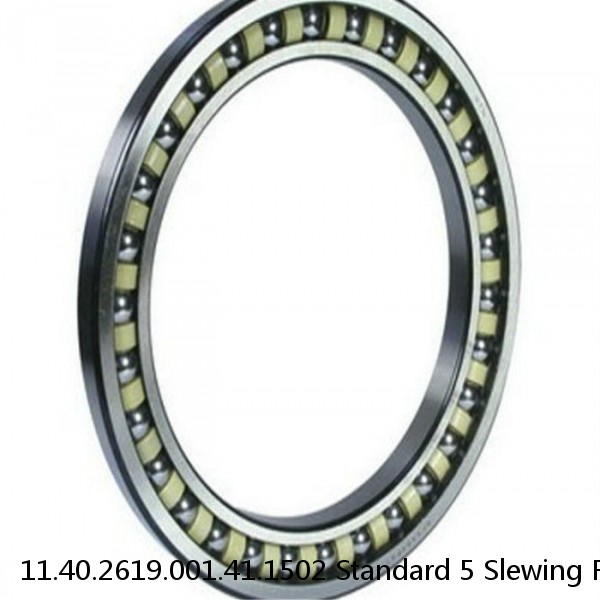 11.40.2619.001.41.1502 Standard 5 Slewing Ring Bearings #1 image