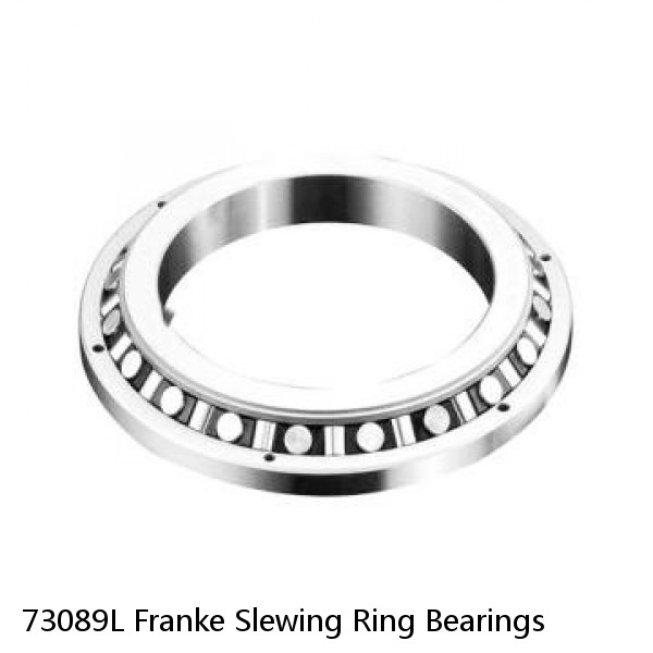 73089L Franke Slewing Ring Bearings #1 image