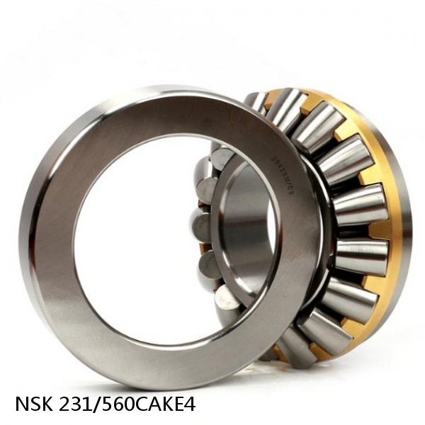 231/560CAKE4 NSK Spherical Roller Bearing #1 image