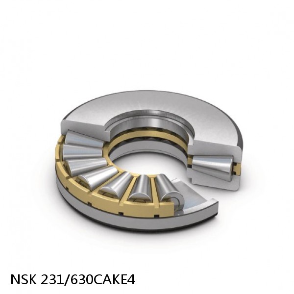 231/630CAKE4 NSK Spherical Roller Bearing #1 image