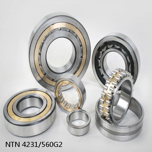 4231/560G2 NTN Cylindrical Roller Bearing #1 image