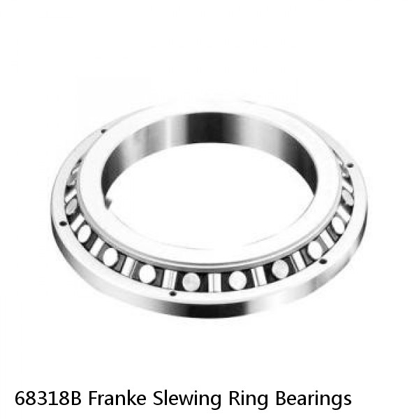 68318B Franke Slewing Ring Bearings #1 image